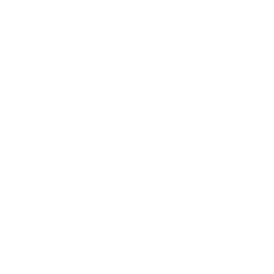 Natuzzi, S.p.A Share Price